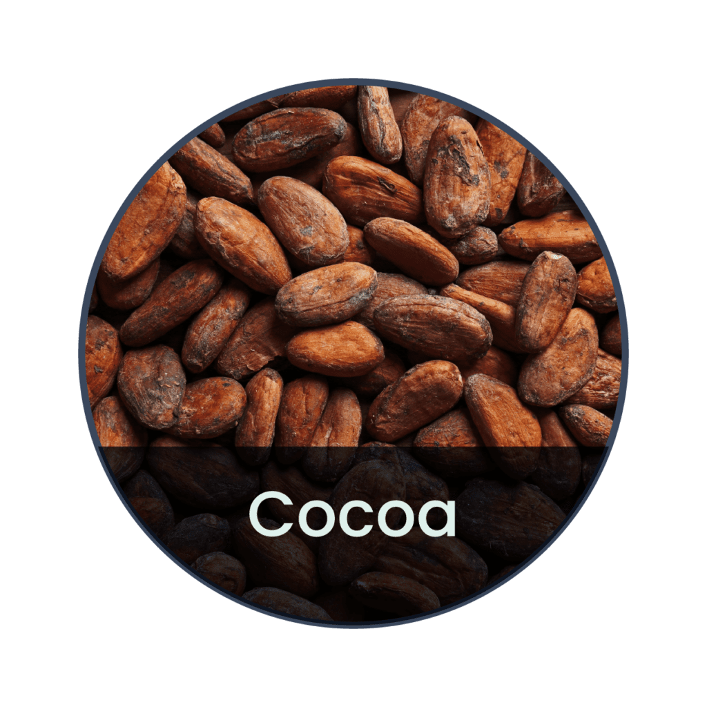 cocoa