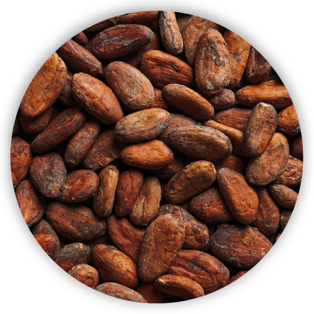 Applications of Digital Food Fingerprinting Technology - Food - Cocoa