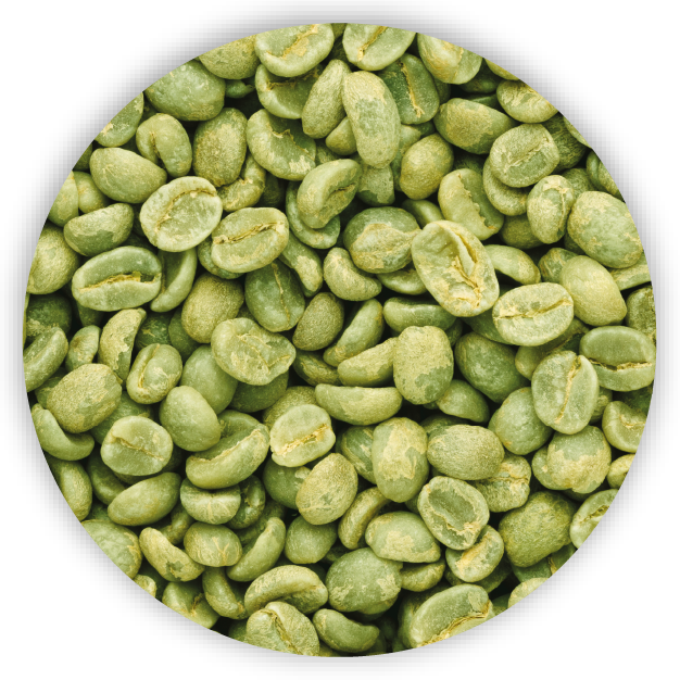 Applications of Digital Food Fingerprinting Technology - Food - Coffee