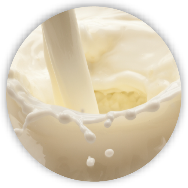 Applications of Digital Food Fingerprinting Technology - Food - Dairy