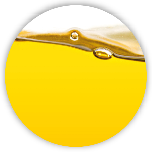 Applications of Digital Food Fingerprinting Technology - Food - Oils and Fats