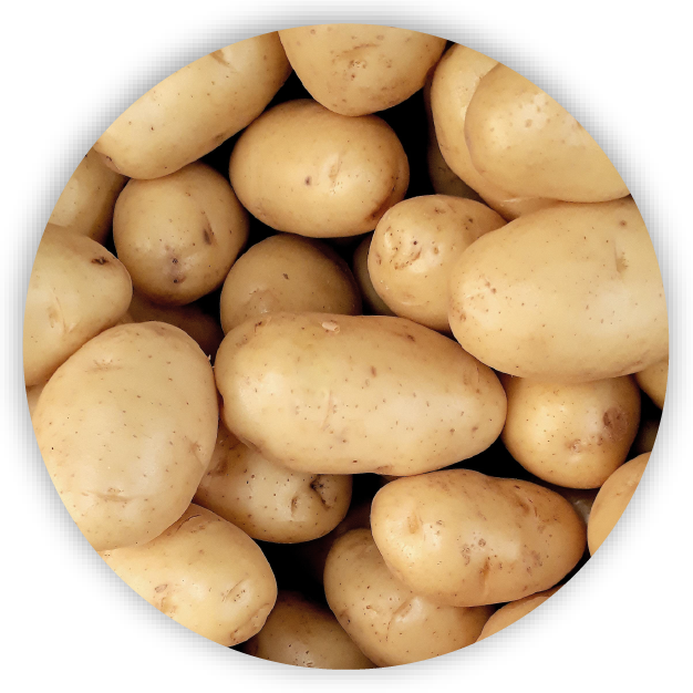 Applications of Digital Food Fingerprinting Technology - Food - Starch and Tubers