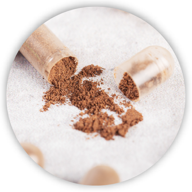 Applications of Digital Food Fingerprinting Technology - Others - Pharma