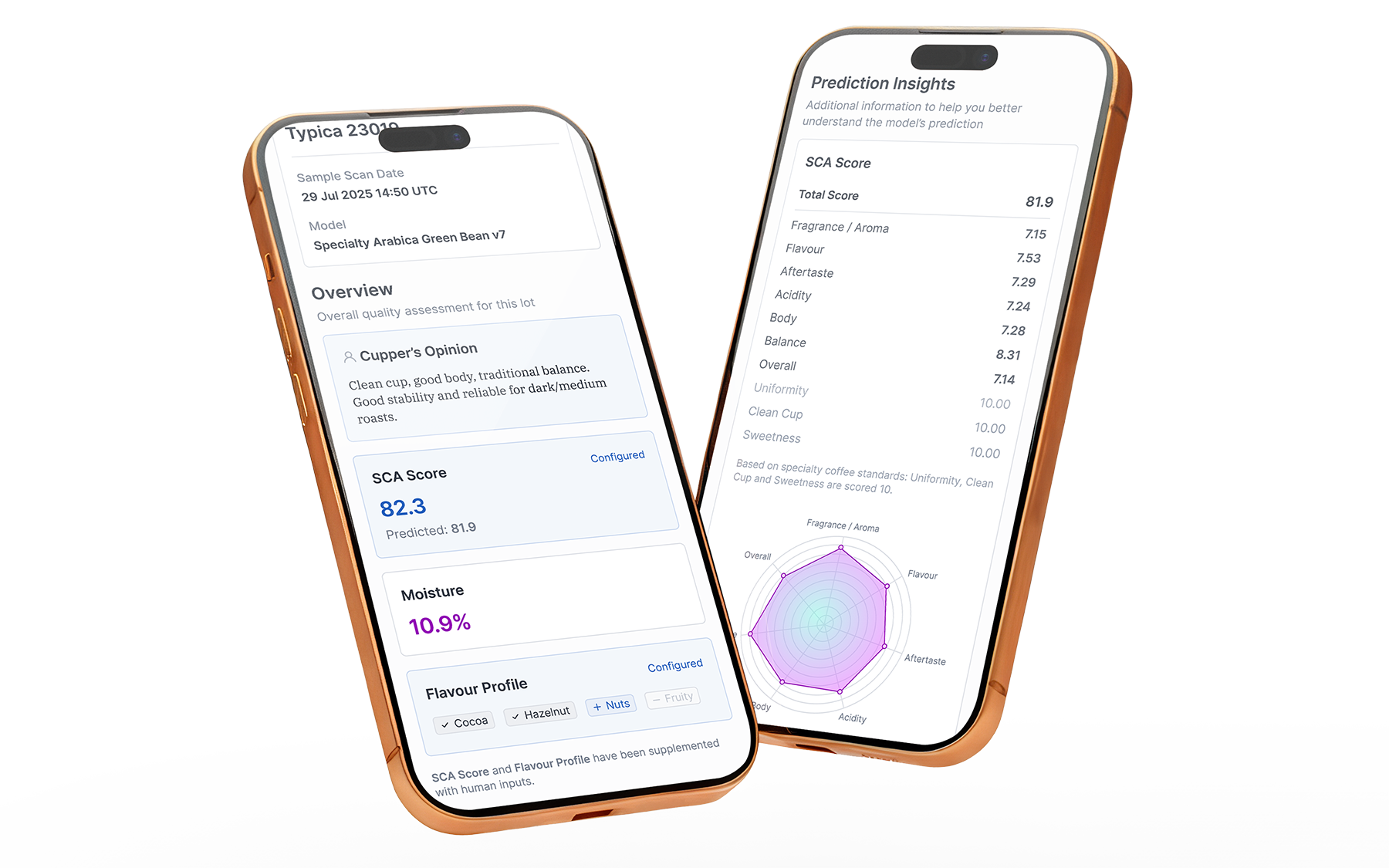 Coffee quality assessment service report showing SCA scores, moisture, flavour profiles, and includes expert cupper opinions alongside these AI predictions