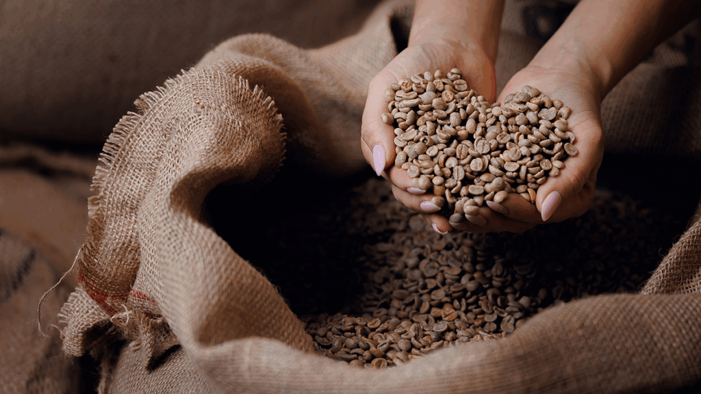 AI-powered coffee non-visual defect detection helping a global coffee exporter